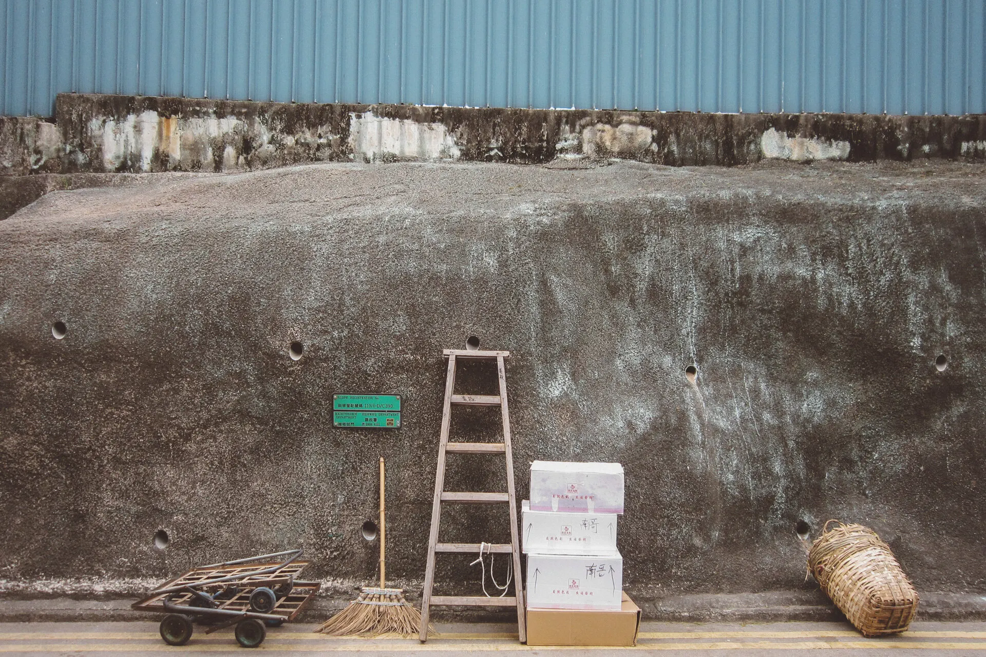 Environmental photograph by Sydney photographer Juliana Oh