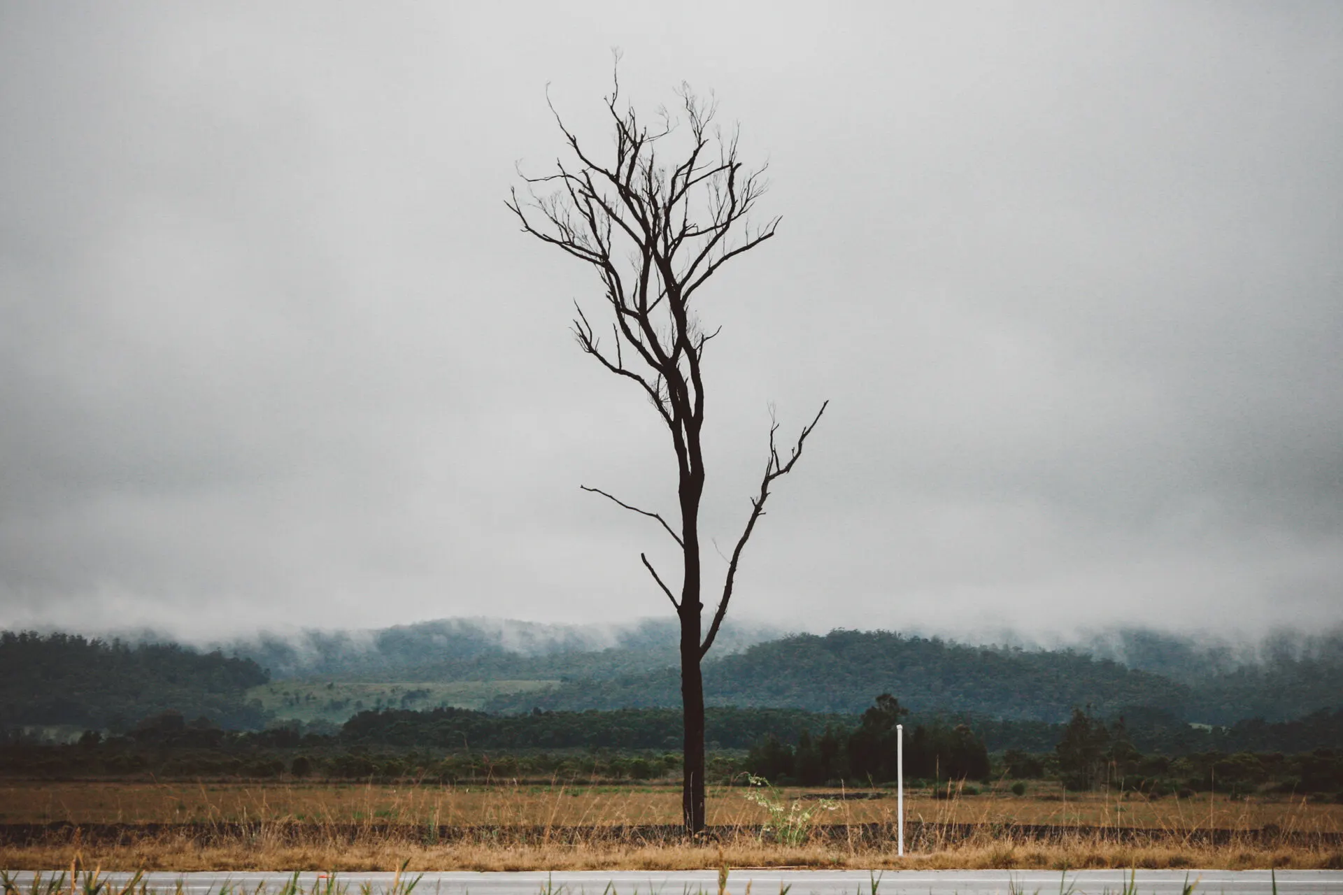 Environmental photograph by Sydney photographer Juliana Oh
