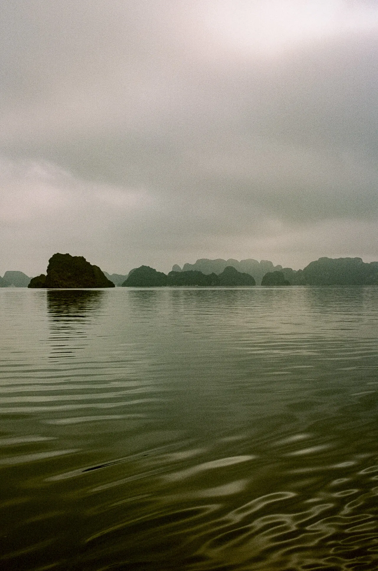 Environmental photograph by Sydney photographer Juliana Oh