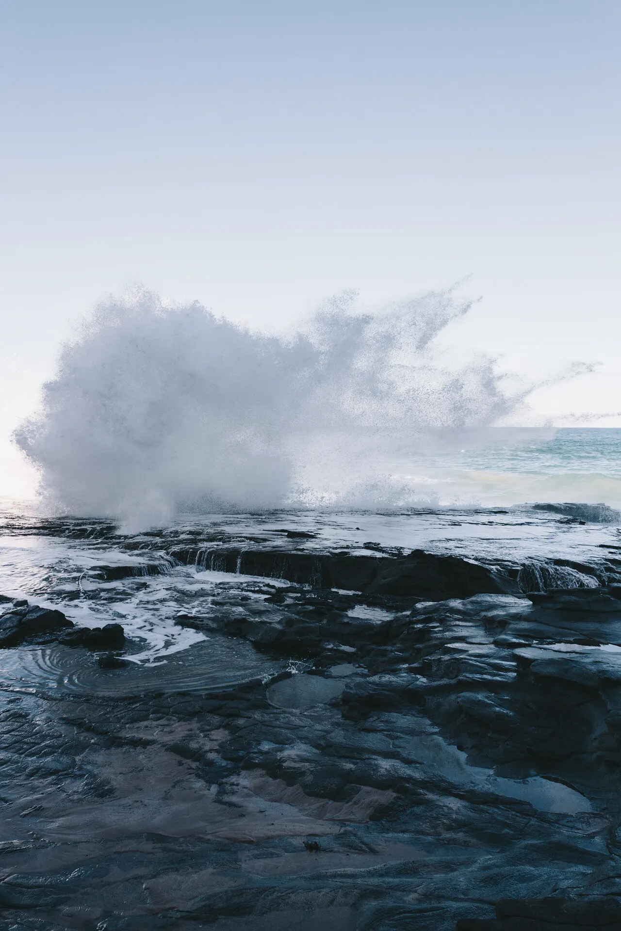Environmental photograph by Sydney photographer Juliana Oh