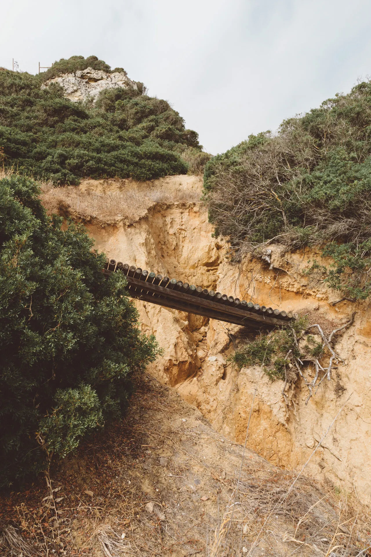Environmental photograph by Sydney photographer Juliana Oh