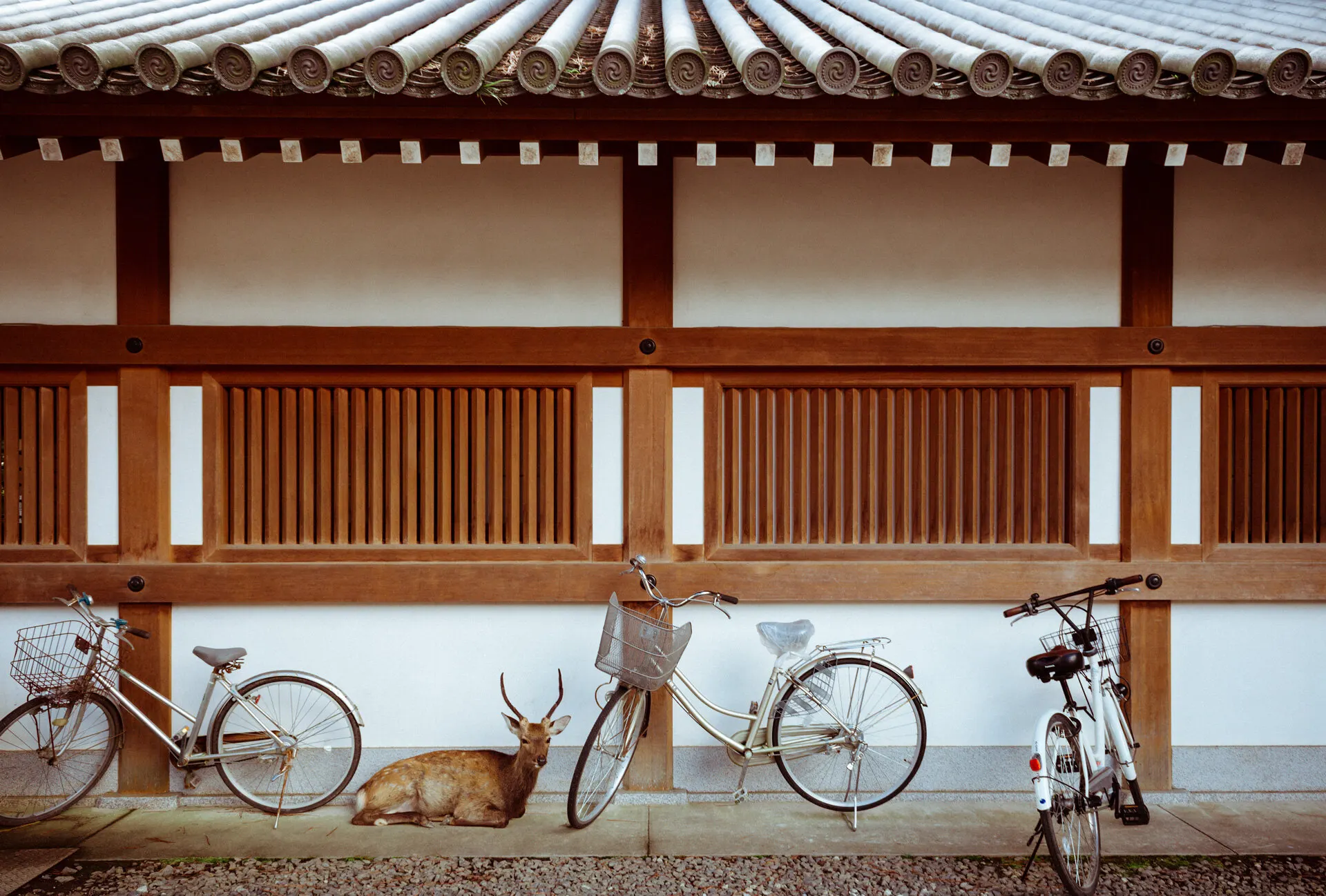 Travel photograph by Sydney photographer Juliana Oh