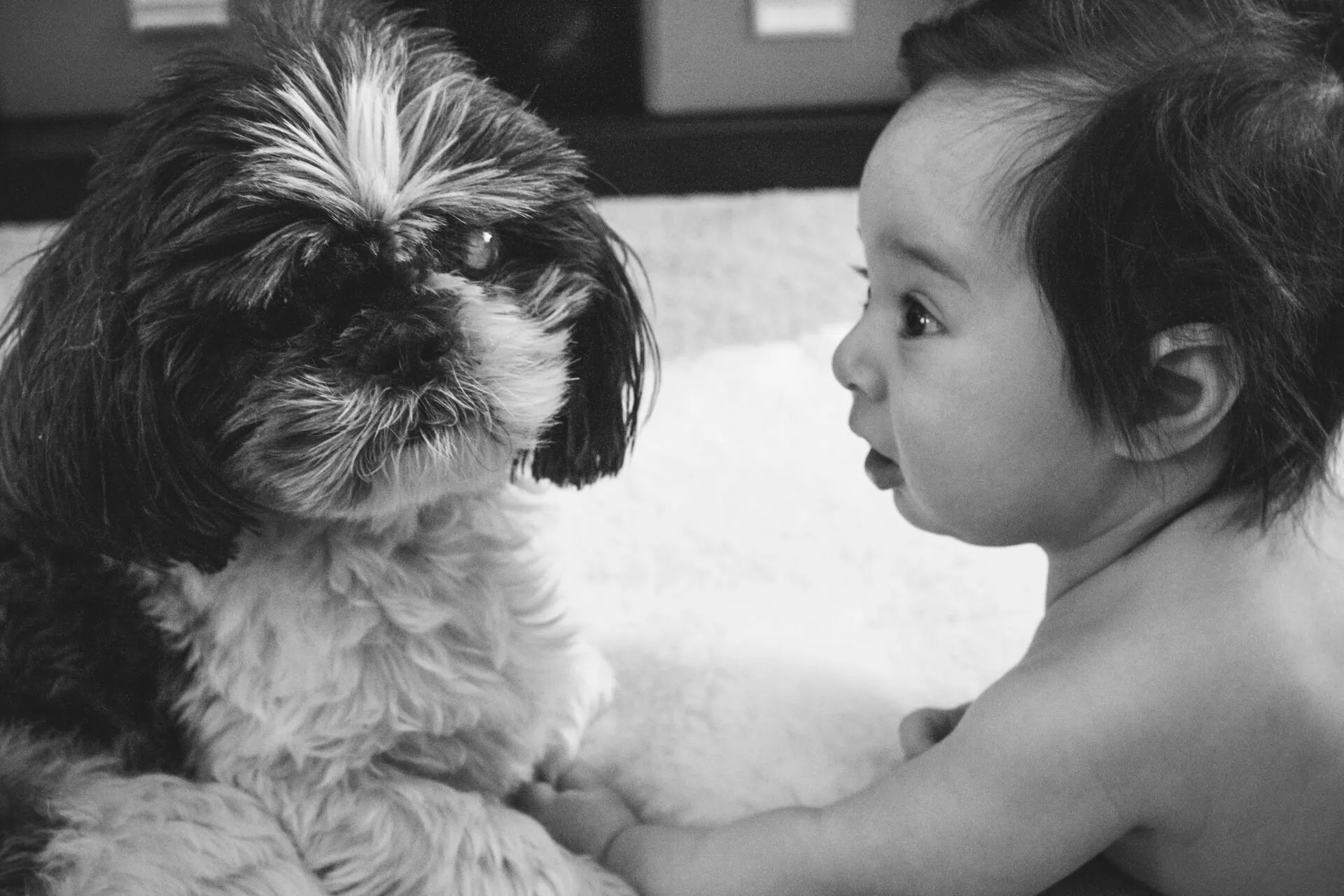 Family portrait — the Kempis family by Sydney photographer Juliana Oh